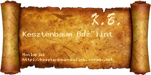 Kesztenbaum Bálint névjegykártya